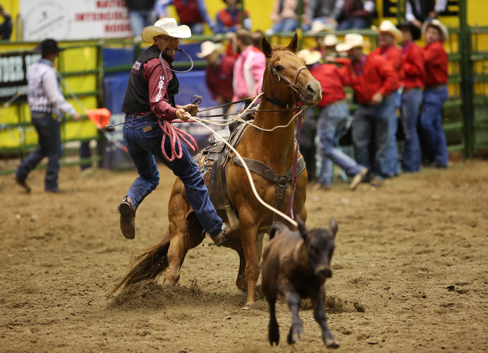 CNFR - Wednesday